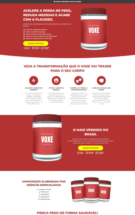 Modelo Voxe 1